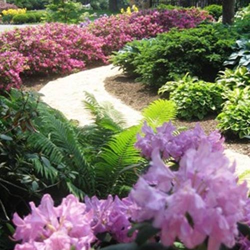Landscaping Solutions in Chennai