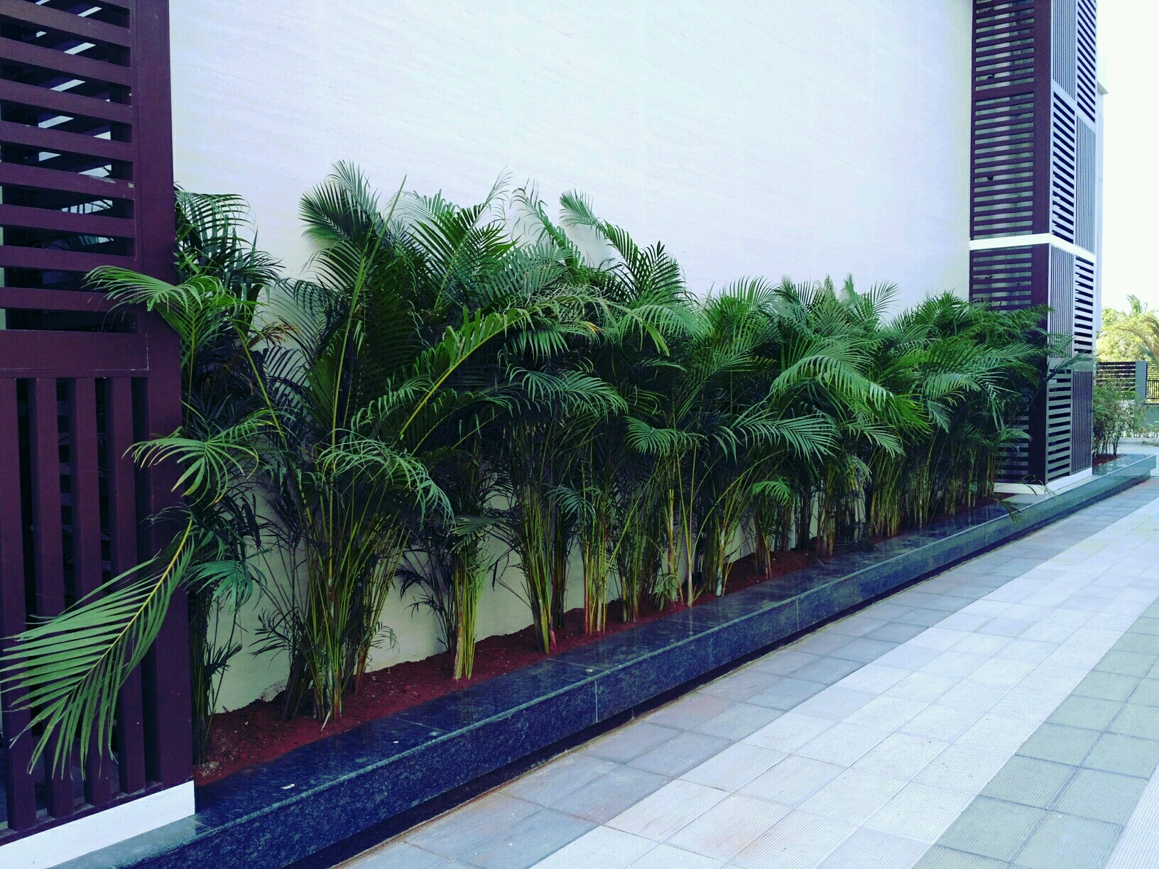 Vertical green wall gardens in Chennai