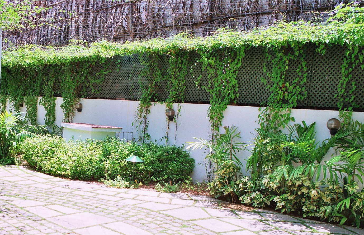 Terrace Garden in Chennai